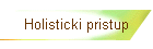 Holisticki pristup